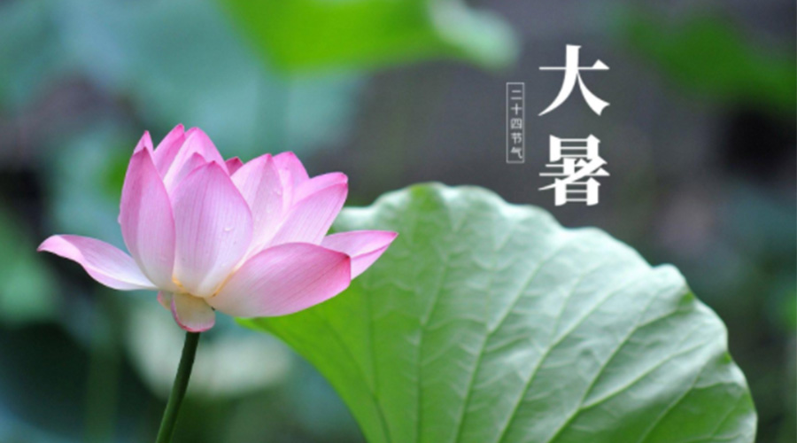 大暑時(shí)節(jié)！金環(huán)電器提醒大家注意這些干衣細(xì)節(jié)