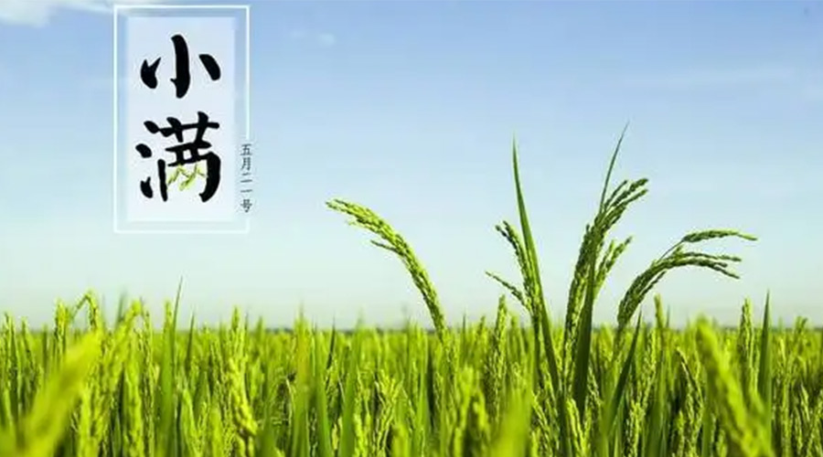 小滿(mǎn)時(shí)節(jié)！金環(huán)電器提醒大家要注意的事項(xiàng)