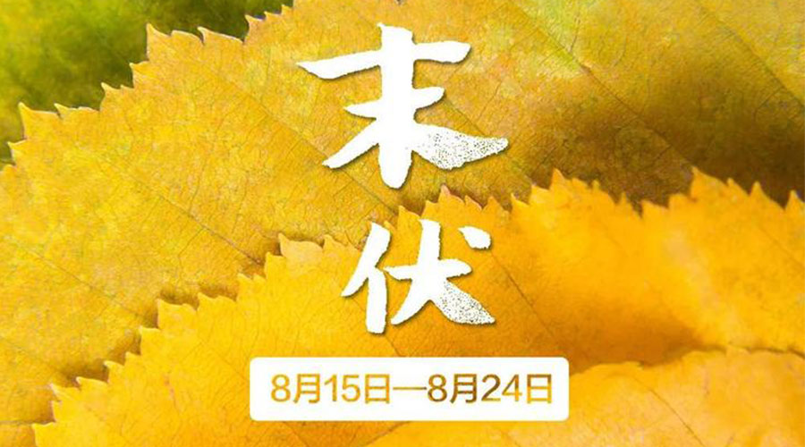 末伏時節(jié)！金環(huán)電器提醒你謹記這些注意事項