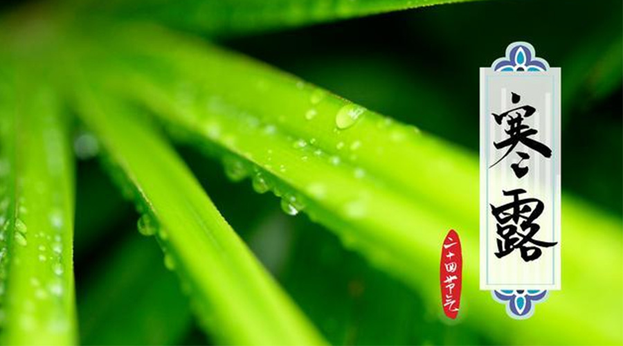 寒露時(shí)節(jié)到！金環(huán)電器提醒這些干衣事項(xiàng)要注意