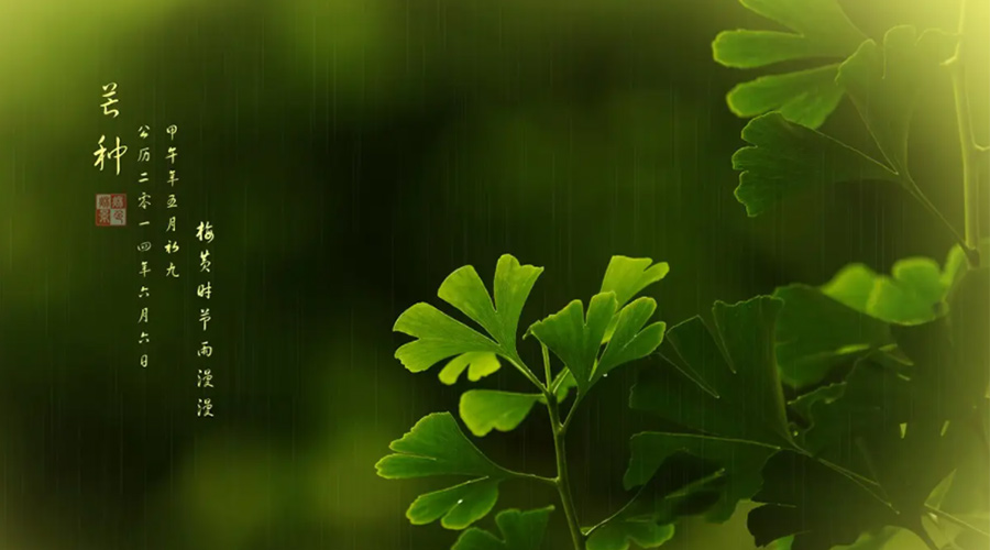 芒種時(shí)節(jié)！金環(huán)電器提醒大家的注意事項(xiàng)