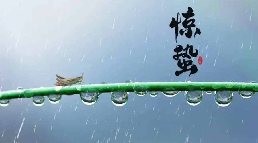 驚蟄時節(jié)！金環(huán)電器提醒大家干衣要注意這些