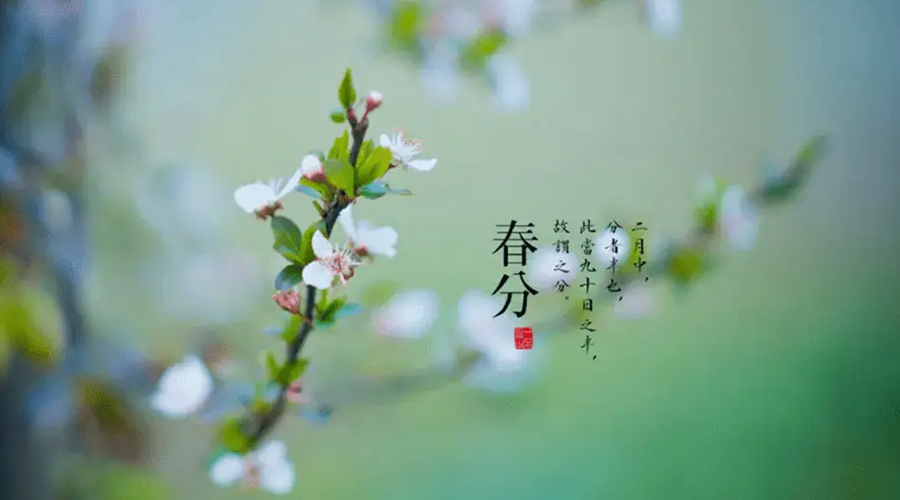 春分雨水多易生菌！金環(huán)電器提醒你衣物要注意處理