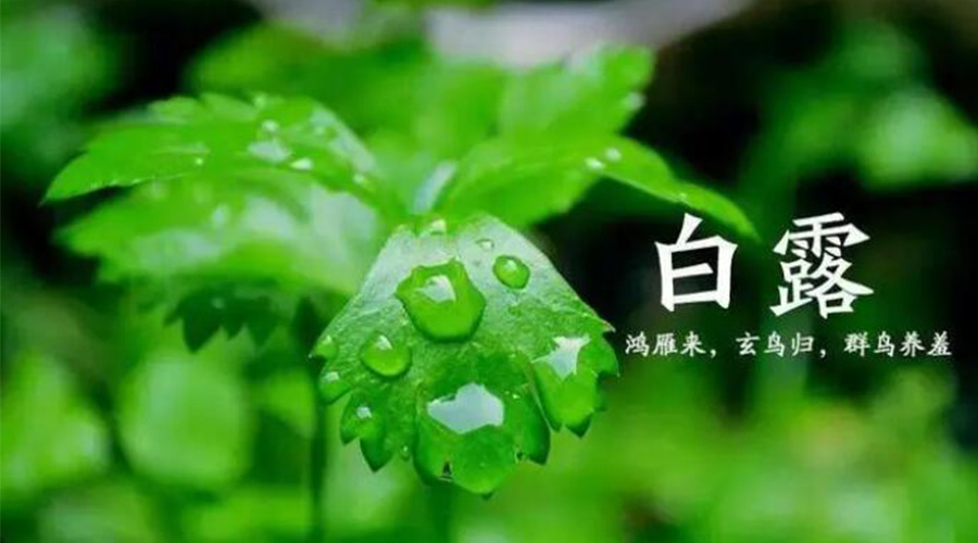 白露時(shí)節(jié)！金環(huán)電器提醒大家要注意的事項(xiàng)