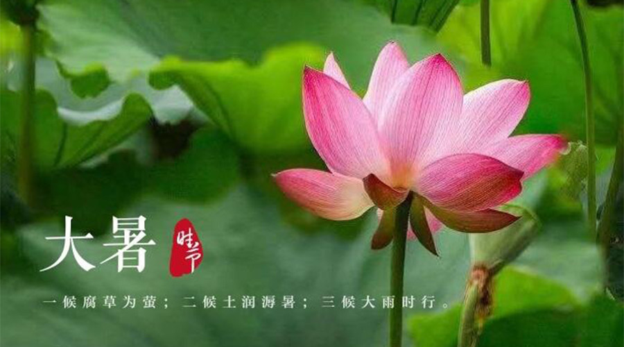大暑時(shí)節(jié)！金環(huán)電器提醒大家要注意的事項(xiàng)