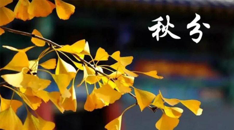 秋分時節(jié)！金環(huán)電器提醒大家要注意的事項