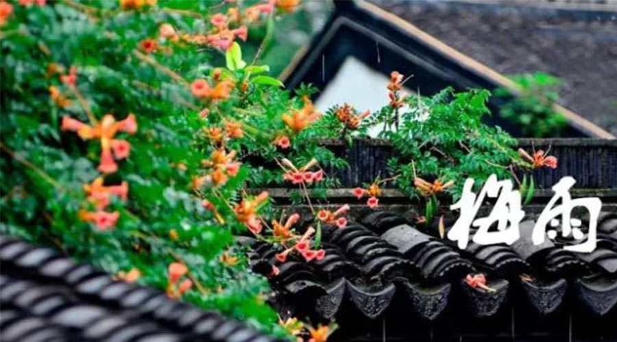 什么是梅雨？梅雨如何形成？  金環(huán)電器告訴你答案